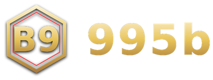 995b logo